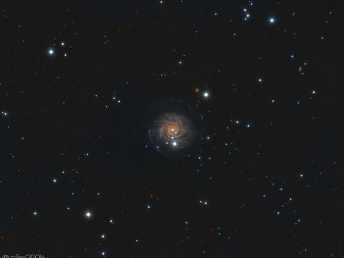 NGC 3344 Galassia nel Leone Minore