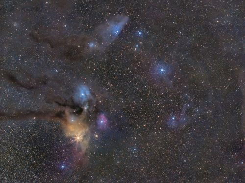 Complesso Rho Ophiuchi e IC4592 Testa di cavallo azzurra