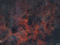 Nebulosa Tulipano a campo largo