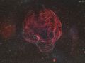 SH2-240 Nebulosa Spaghetti