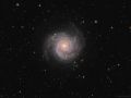 M74 – La Galassia Fantasma – Costellazione dei Pesci