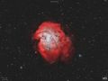 Sh2-252  "Monkey Head Nebula"