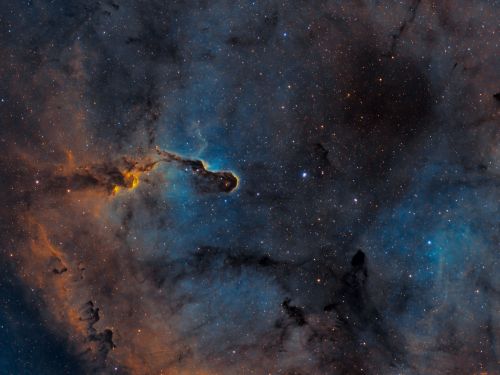 Nebulosa Proboscide di Elefante vdB142