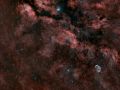 Campo nebulare del Cigno e nebulosa Crescent Ngc6888