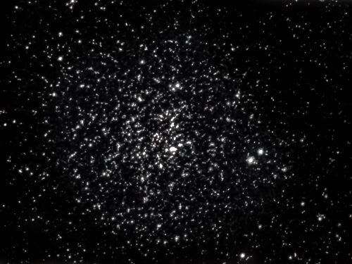 Ammasso stellare Anatra selvatica M11