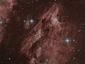 Nebulosa Pellicano Ic5067