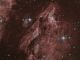 Nebulosa Pellicano Ic5067