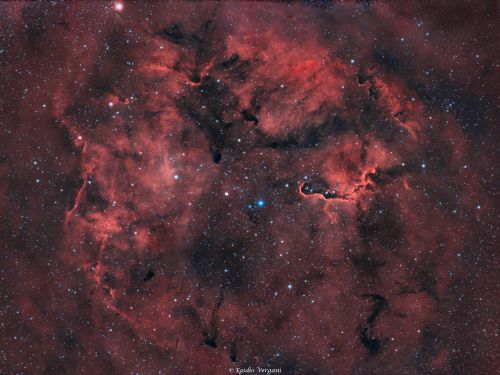 Nebulosa Proboscide di elefante Ic1396