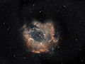 Nebulosa Rosetta Ngc 2237