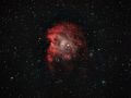 Nebulosa Testa di Scimmia Ngc2174