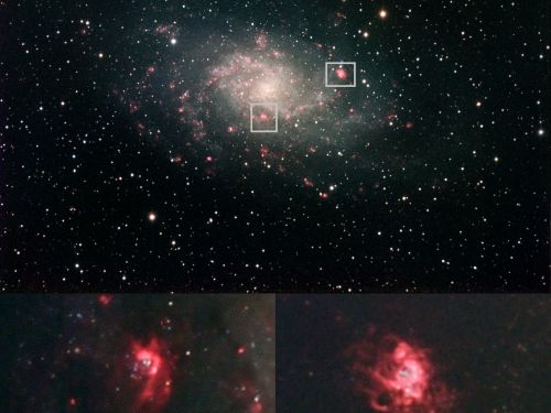 Nebulose all’interno della galassia M33