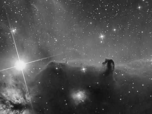 Nebulosa Testa di Cavallo in bianco e nero