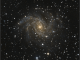 NGC6946 Galassia (Fuochi di Artificio)