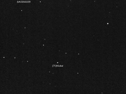 Asteroide (71)Niobe