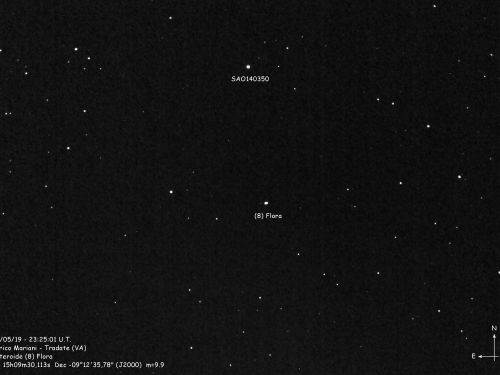 Asteroide (8) FlorA