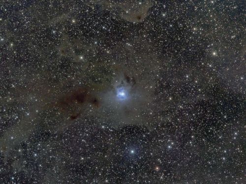 NGC 7023 Iris nebula