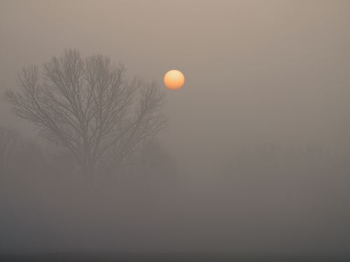 Alba nella nebbia