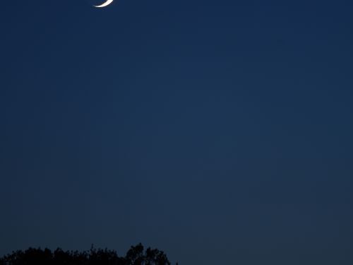 Luna e Venere al tramonto