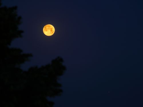 Luna piena e Giove in congiunzione all’alba