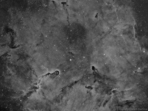 IC1396 e nebulosa "Proboscide di Elefante"