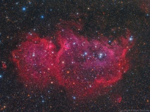 IC1848 nebulosa Anima