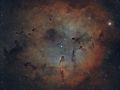 Complesso nebulare Cefeo