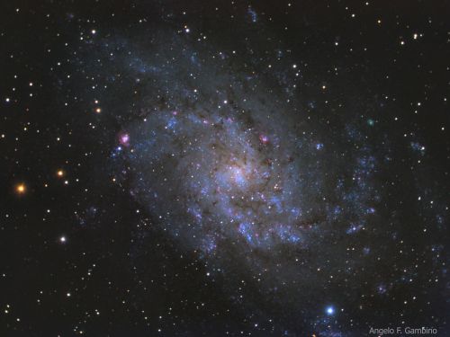 La Galassia M33