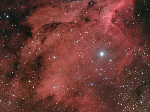 La Nebulosa Pellicano
