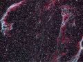 Veil Nebula Rgb+Narrow Band