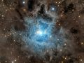 Iris Nebula – NGC 7023