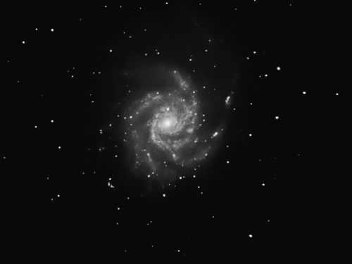 galassia m101