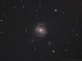 Galassia a spirale – M100