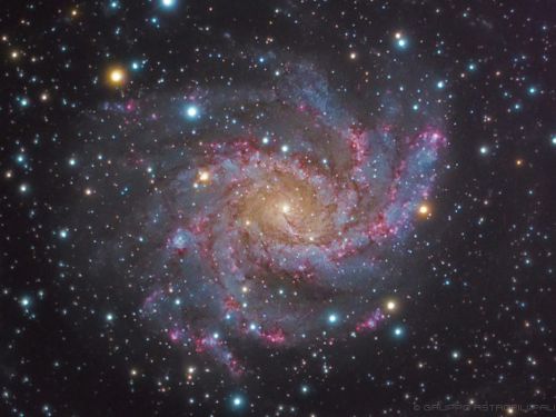 Galassia Fuochi D’Artificio – NGC6946