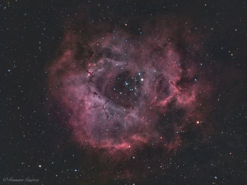Nebulosa rosetta