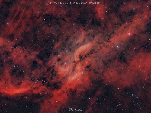 WDB 111 Propeller Nebula