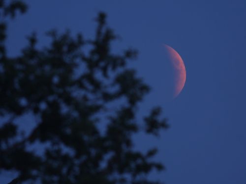 alba dell’eclisse totale di luna del 15 Giugno 2011