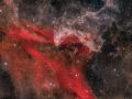 LBN 437 Gecko Nebula