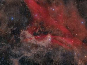 Lbn 437 Gecko nebula