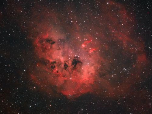 IC410 – Nebulosa Girino