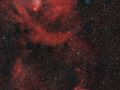 Nebulosa Rosetta a grande campo