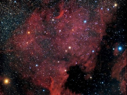 NGC 7000 Nebulosa Nord America