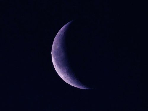 Luna Calante