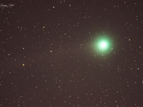 Cometa Lovejoy C2014 Q2