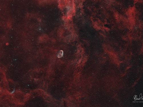 Il Cigno – Crescent Nebula e dintorni