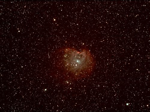 Sh2-252 Nebulosa Testa di Scimmia