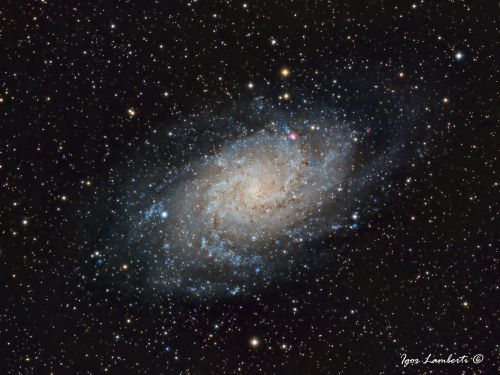 M33 – NGC598