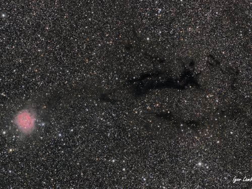 IC5146 Cocoon Nebula e B 168