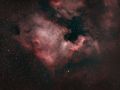 La nebulosa Nord America NGC 7000