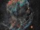 IC443: nebulosa "Medusa"