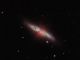 M82: galassia “Sigaro”